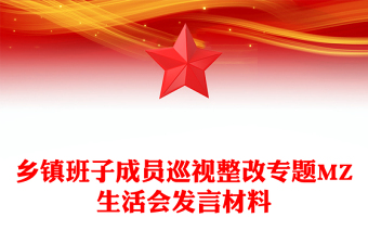 乡镇班子成员巡视整改专题MZ生活会发言材料