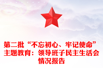 第二批“不忘初心、牢记使命”主题教育：领导班子民主生活会情况报告