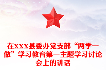在XXX县委办党支部“两学一做”学习教育第一主题学习讨论会上的讲话
