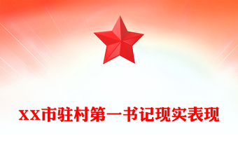 XX市驻村第一书记现实表现