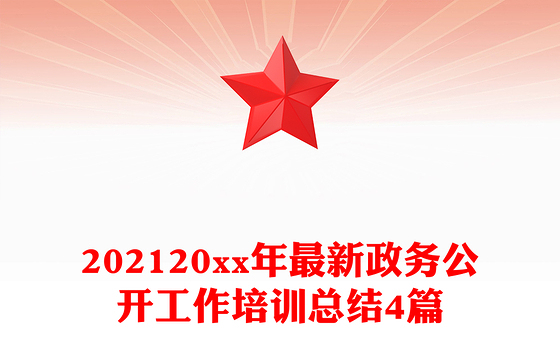 202120xx年最新政务公开工作培训总结4篇