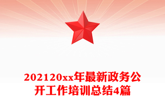 202120xx年最新政务公开工作培训总结4篇