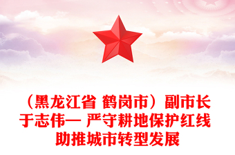 （黑龙江省 鹤岗市）副市长 于志伟— 严守耕地保护红线 助推城市转型发展
