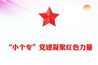 “小个专”党建凝聚红色力量