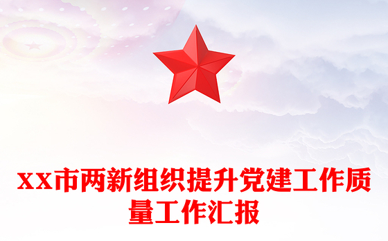 XX市两新组织提升党建工作质量工作汇报