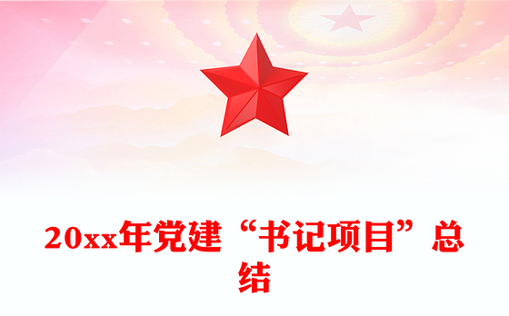 20xx年党建“书记项目”总结