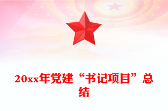 20xx年党建“书记项目”总结