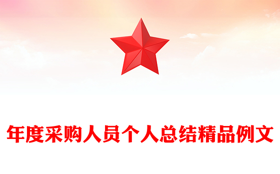 年度采购人员个人总结精品例文