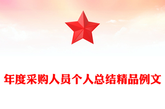 年度采购人员个人总结精品例文