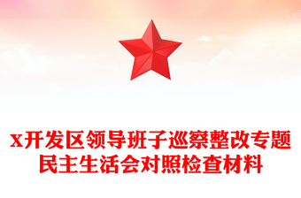 X开发区领导班子巡察整改专题民主生活会对照检查材料