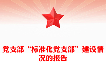 党支部“标准化党支部”建设情况的报告