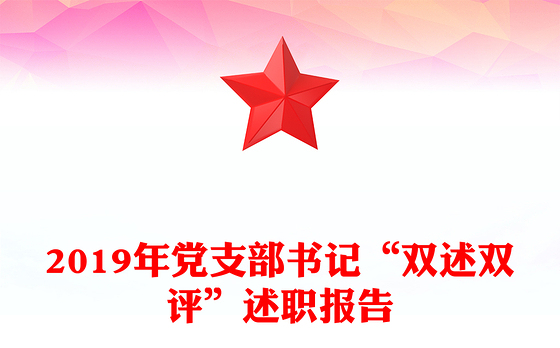 2019年党支部书记“双述双评”述职报告