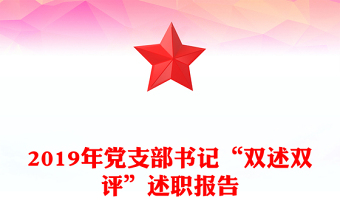 2019年党支部书记“双述双评”述职报告