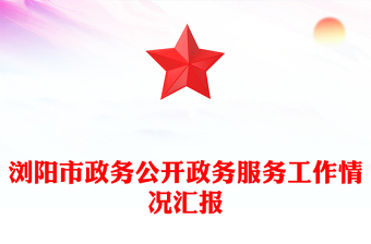 浏阳市政务公开政务服务工作情况汇报
