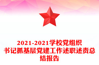 2021-2021学校党组织书记抓基层党建工作述职述责总结报告