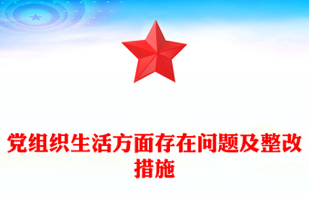 党组织生活方面存在问题及整改措施