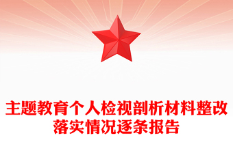 主题教育个人检视剖析材料整改落实情况逐条报告