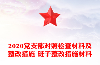 2020党支部对照检查材料及整改措施 班子整改措施材料
