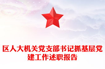 区人大机关党支部书记抓基层党建工作述职报告