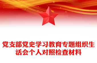 党支部党史学习教育专题组织生活会个人对照检查材料