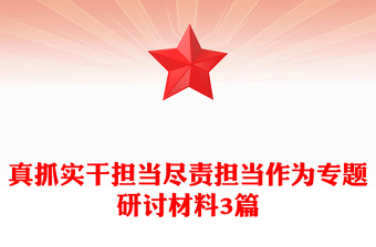 真抓实干担当尽责担当作为专题研讨材料3篇
