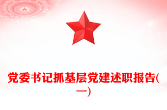 党委书记抓基层党建述职报告(一)