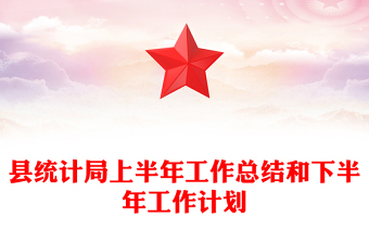 县统计局上半年工作总结和下半年工作计划
