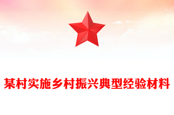 某村实施乡村振兴典型经验材料