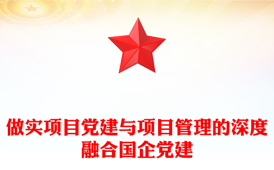 做实项目党建与项目管理的深度融合国企党建