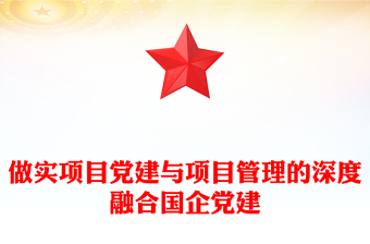 做实项目党建与项目管理的深度融合国企党建