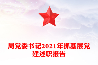 局党委书记2021年抓基层党建述职报告