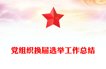 党组织换届选举工作总结