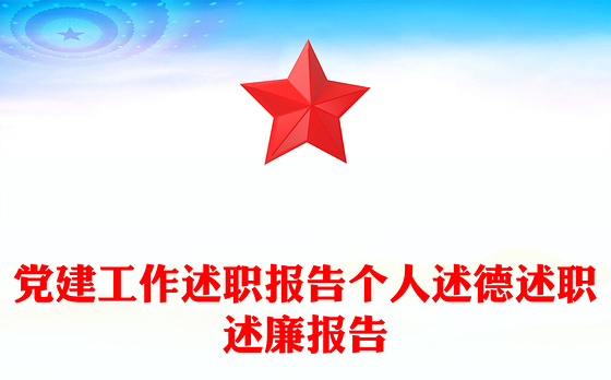 2023税务党建工作个人述职总结