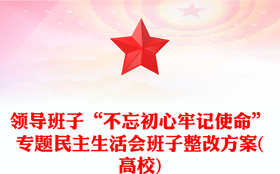 领导班子“不忘初心牢记使命”专题民主生活会班子整改方案(高校)