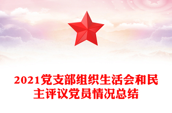 2021党支部组织生活会和民主评议党员情况总结