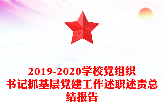 2019-2020学校党组织书记抓基层党建工作述职述责总结报告