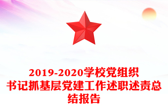 2019-2020学校党组织书记抓基层党建工作述职述责总结报告