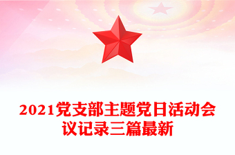2021党支部主题党日活动会议记录三篇最新