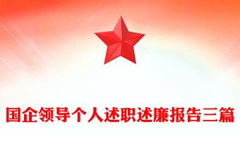 国企领导个人述职述廉报告三篇