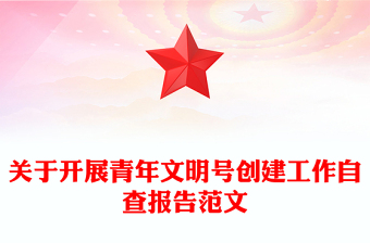 关于开展青年文明号创建工作自查报告范文