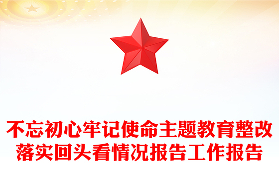 不忘初心牢记使命主题教育整改落实回头看情况报告工作报告