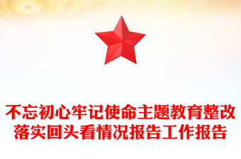 不忘初心牢记使命主题教育整改落实回头看情况报告工作报告