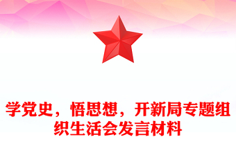 党史组织生活会发言材料