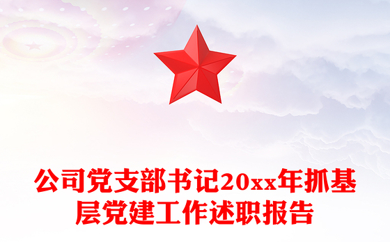 公司党支部书记20xx年抓基层党建工作述职报告