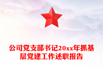 公司党支部书记20xx年抓基层党建工作述职报告