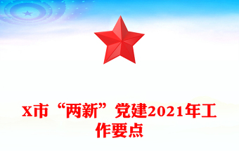 X市“两新”党建2021年工作要点