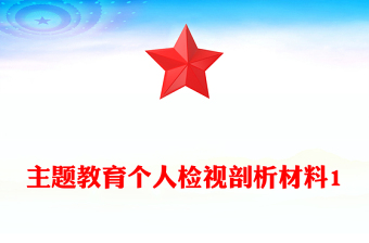 主题教育个人检视剖析材料1