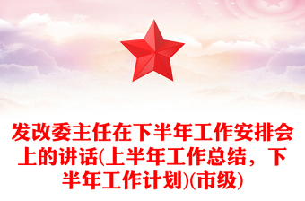 发改委主任在下半年工作安排会上的讲话(上半年工作总结，下半年工作计划)(市级)