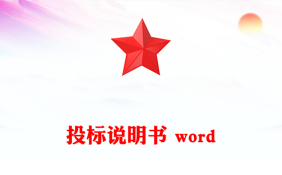 投标说明书 word