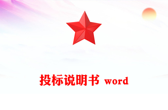 投标说明书 word